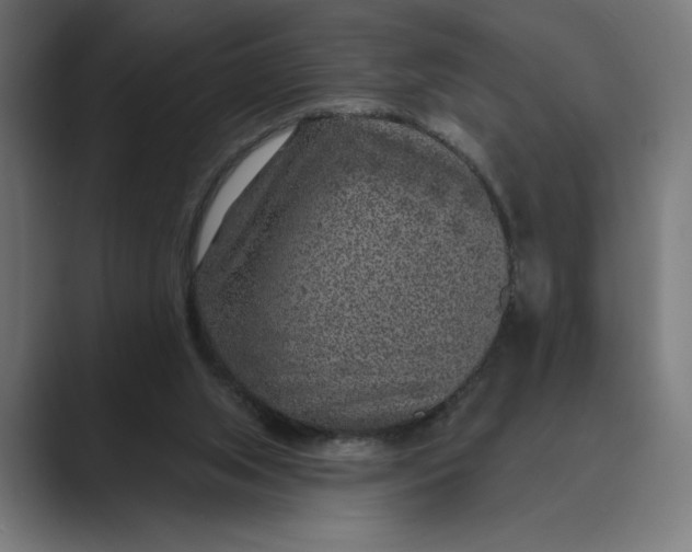 X0000088920063200706291534
