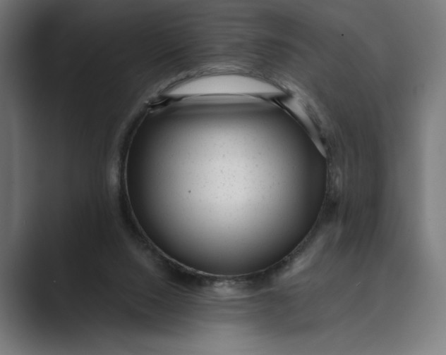 X0000088920064200706291534