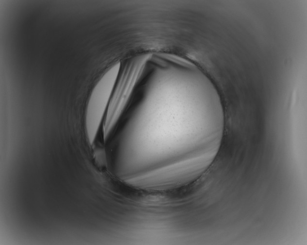 X0000088920066200706291534