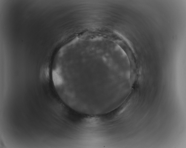 X0000088920067200706291534