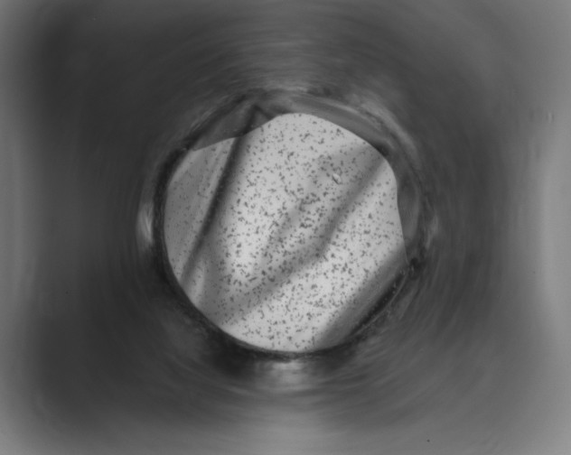 X0000088920068200706291534