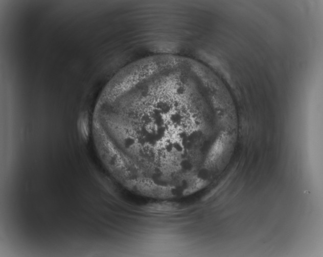 X0000088920069200706291534