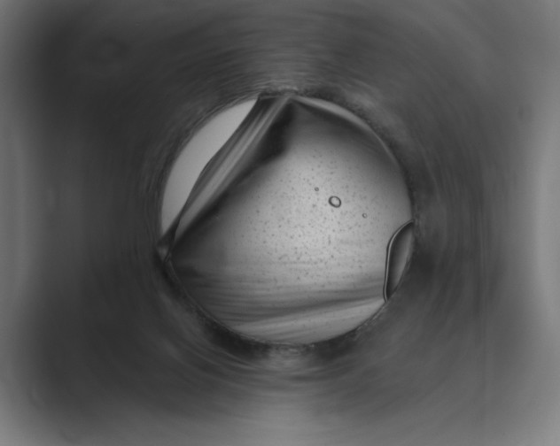 X0000088920070200706291534