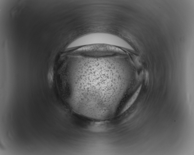 X0000088920072200706291535