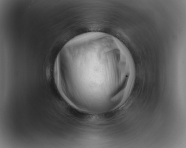 X0000088920074200706291535