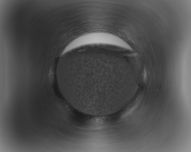 X0000088920080200706291535