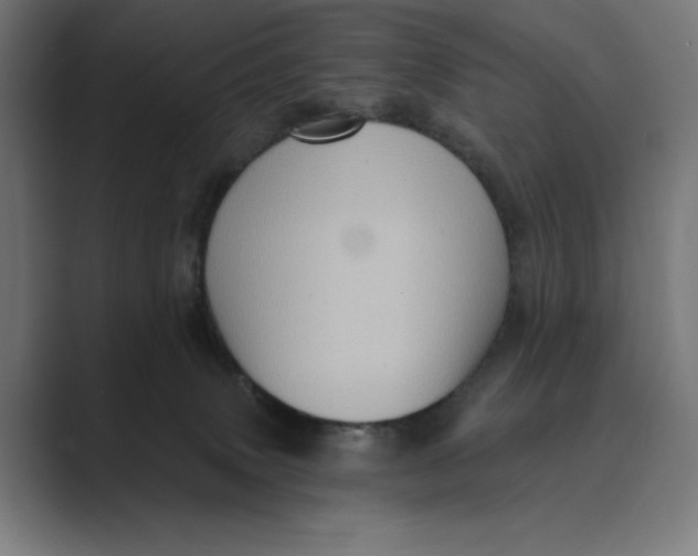 X0000088920083200706291535