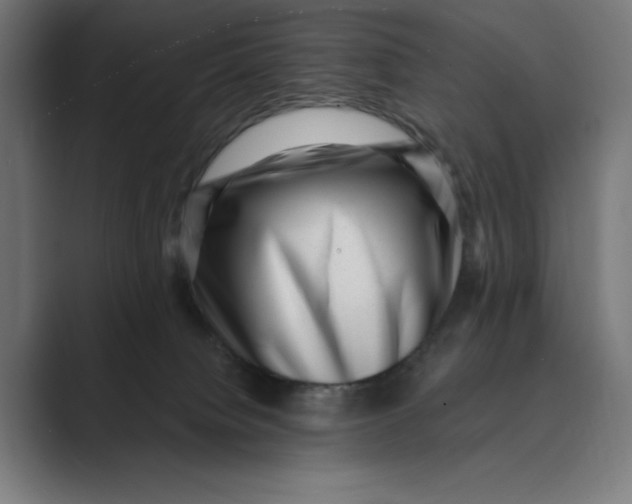 X0000088920084200706291535
