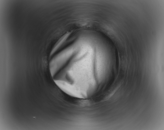 X0000088920085200706291535