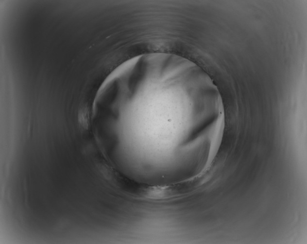 X0000088920090200706291535