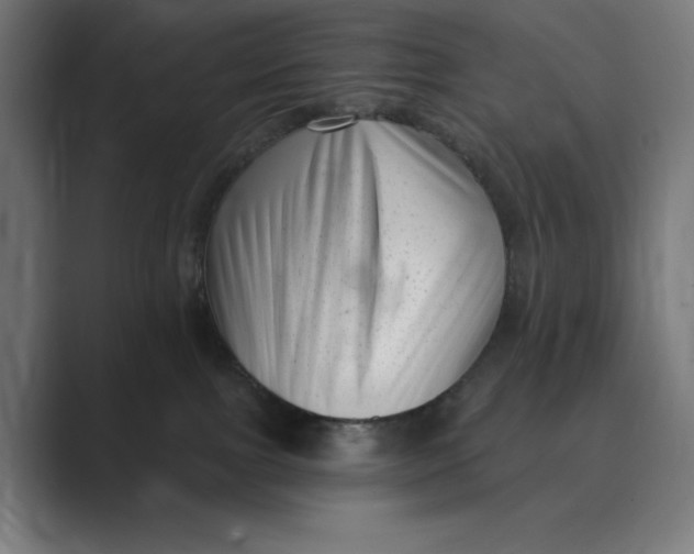 X0000088920091200706291535