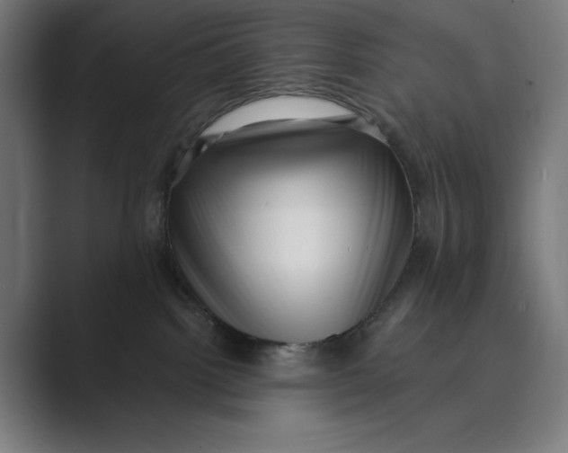 X0000088920092200706291535