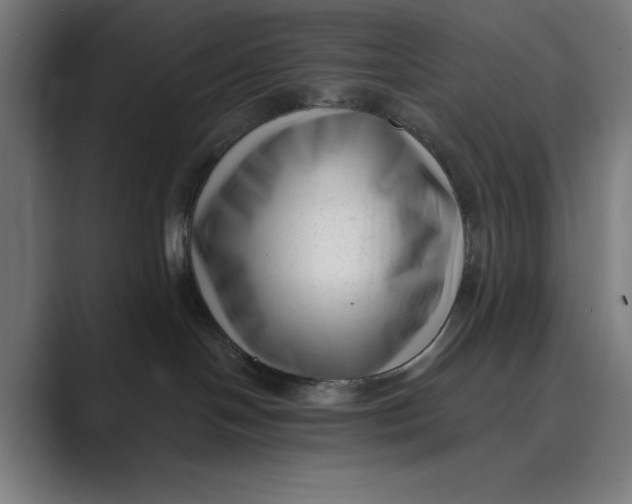 X0000088920094200706291535