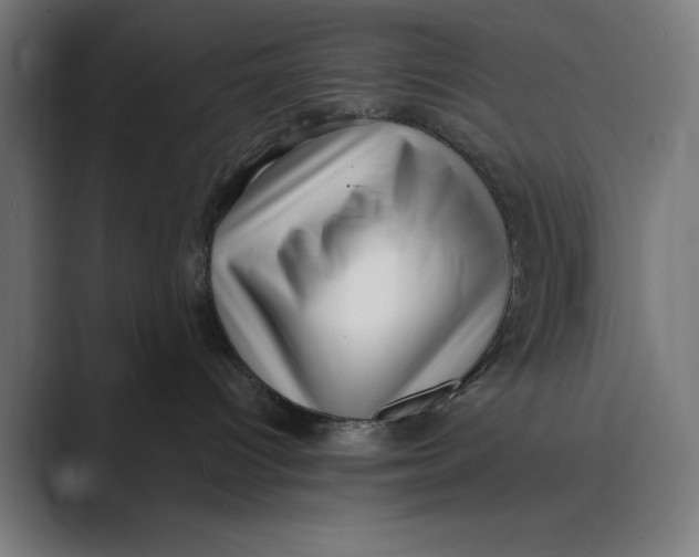 X0000088920096200706291535