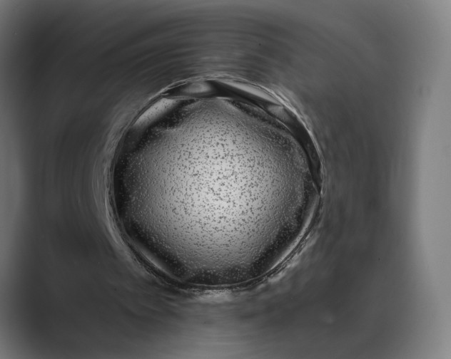 X0000088920097200706291534