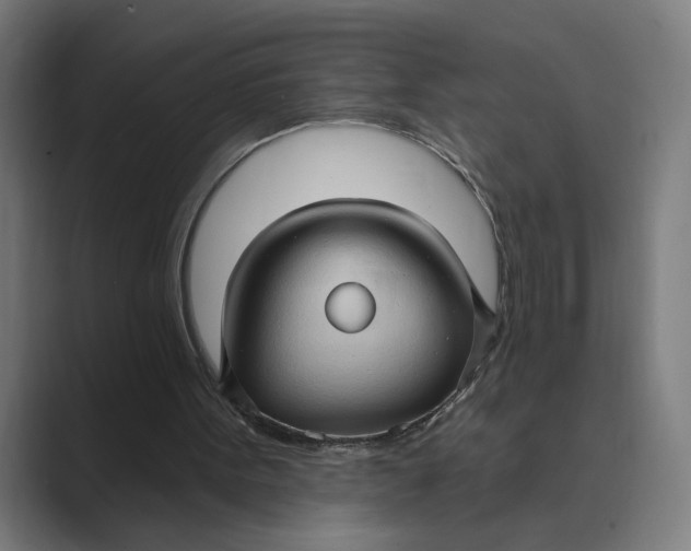 X0000088920099200706291534