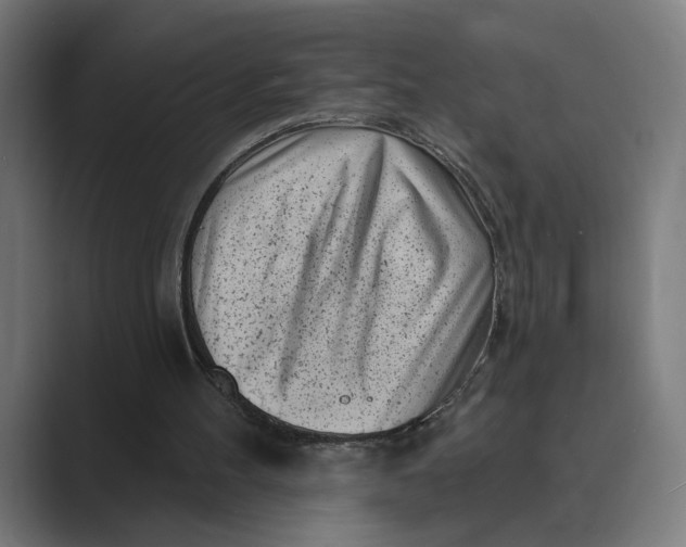X0000088920100200706291534