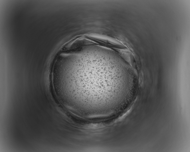 X0000088920101200706291534