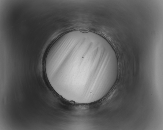 X0000088920102200706291534
