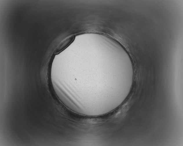 X0000088920103200706291534