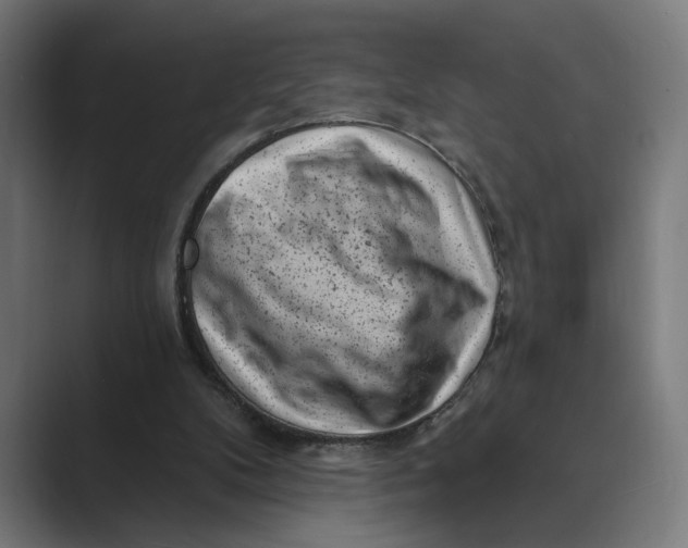 X0000088920104200706291534