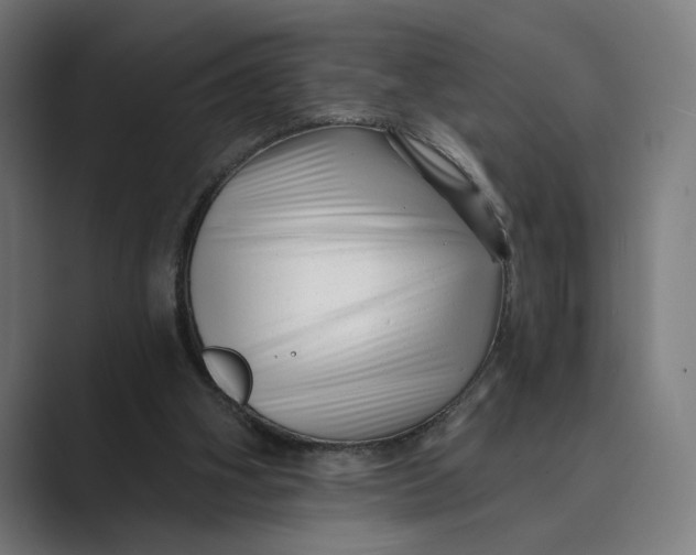 X0000088920106200706291534
