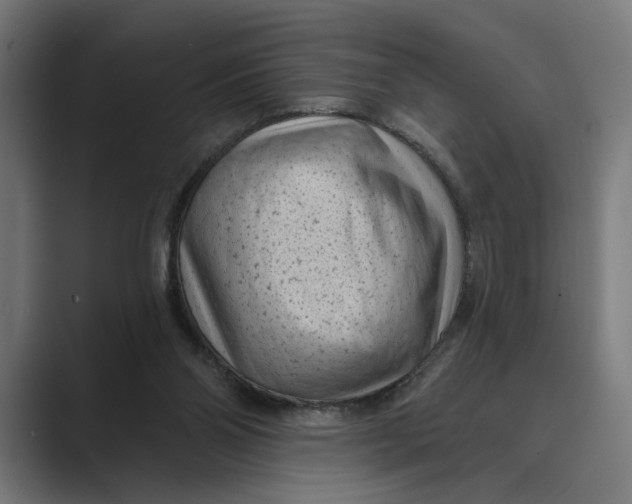X0000088920110200706291534