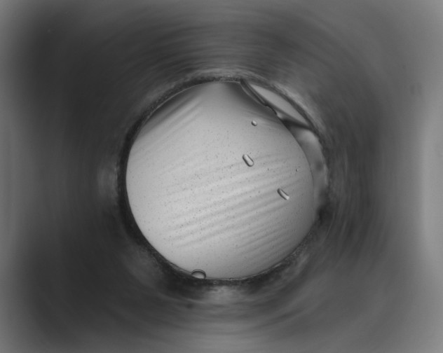 X0000088920111200706291534