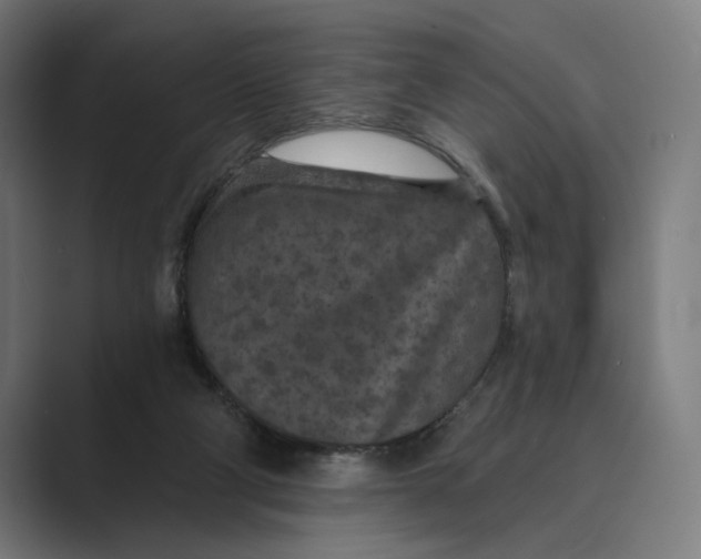 X0000088920114200706291534