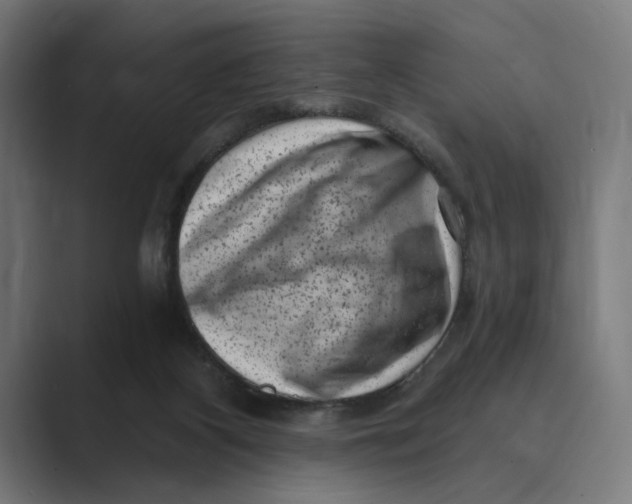 X0000088920116200706291534