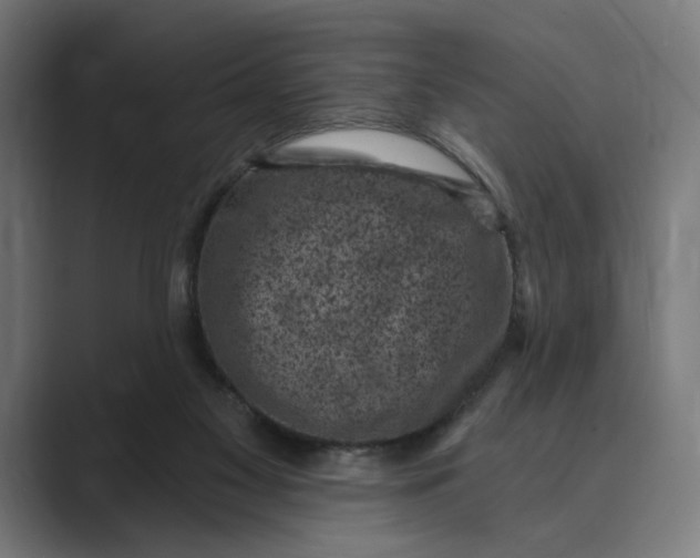 X0000088920117200706291534
