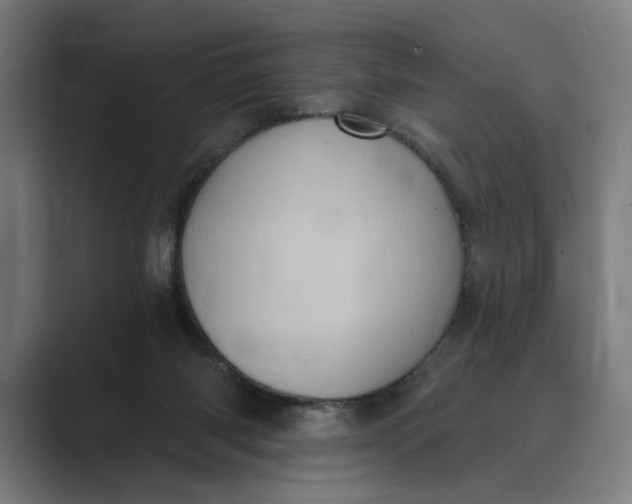X0000088920118200706291534