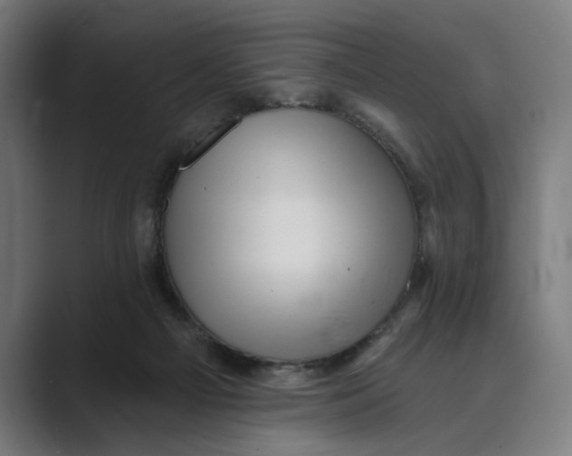 X0000088920121200706291534