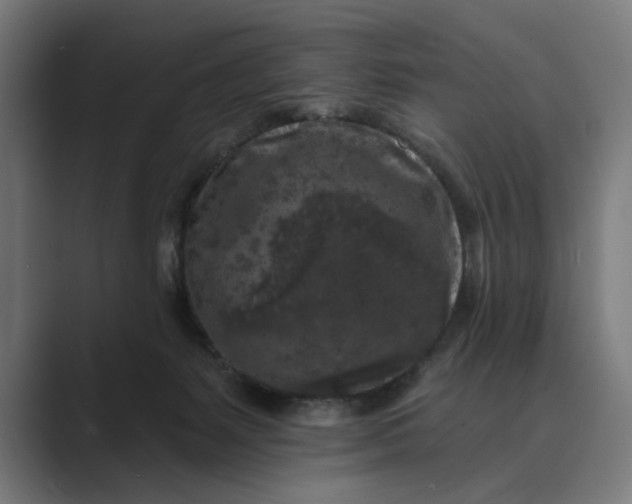 X0000088920127200706291534