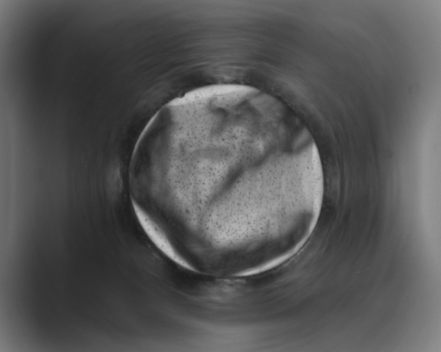 X0000088920128200706291534