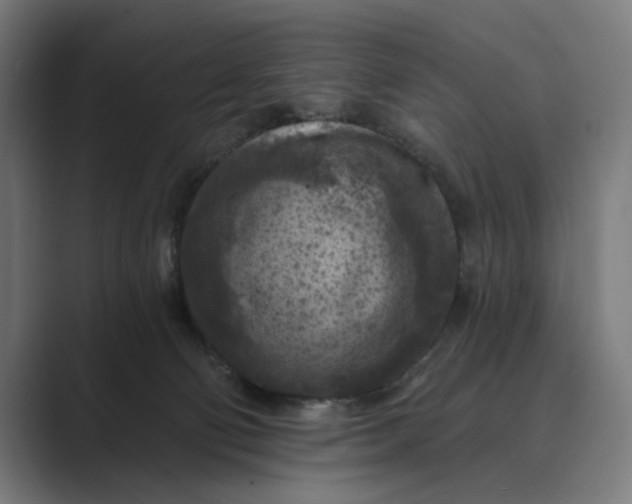 X0000088920130200706291534