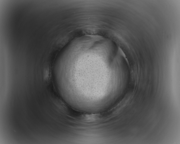 X0000088920134200706291534