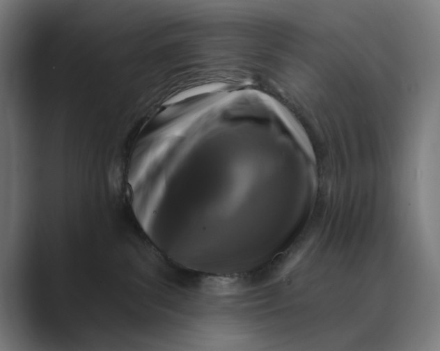 X0000088920139200706291534