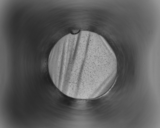 X0000088920144200706291534