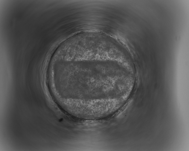 X0000088920145200706291533