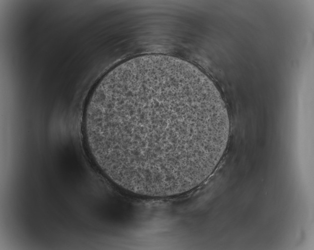 X0000088920146200706291533