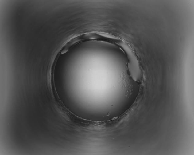 X0000088920148200706291533