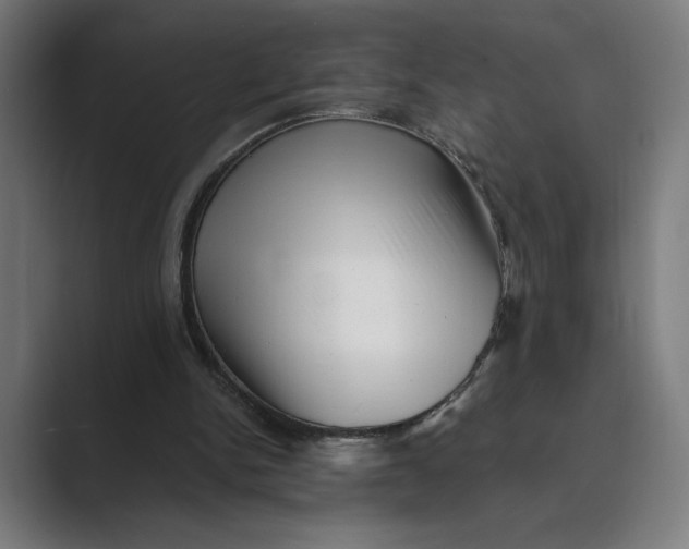 X0000088920150200706291533