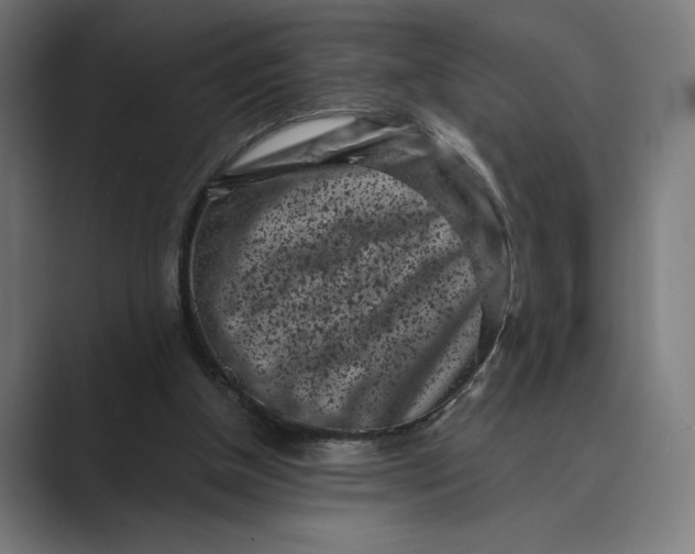 X0000088920154200706291533