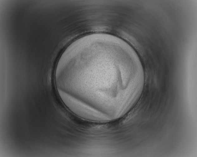 X0000088920155200706291533