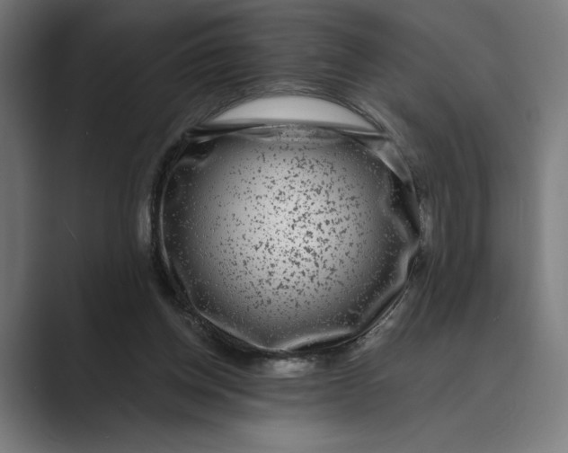X0000088920158200706291533