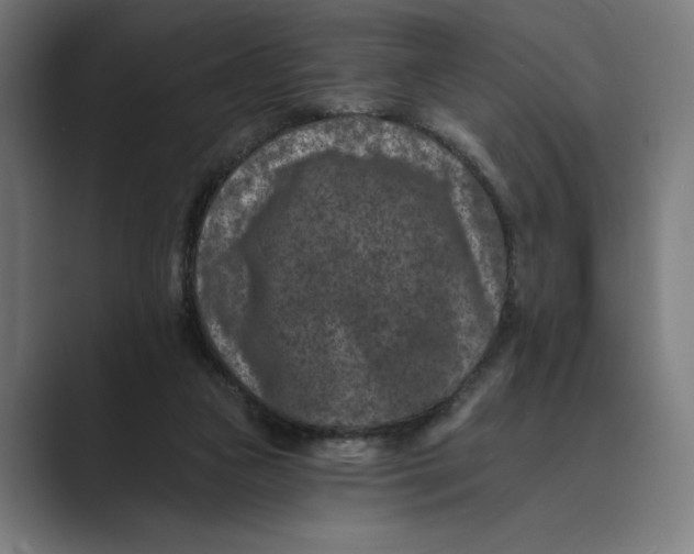 X0000088920161200706291533
