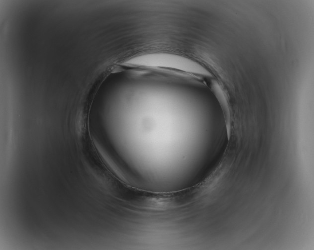 X0000088920164200706291533
