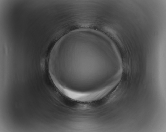 X0000088920167200706291533
