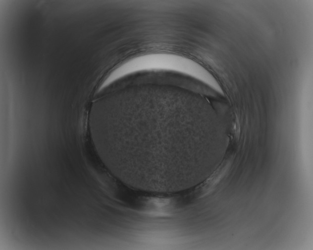 X0000088920168200706291533
